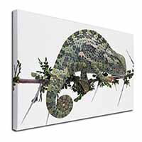 Chameleon Lizard Canvas X-Large 30"x20" Wall Art Print