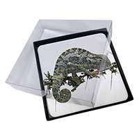 4x Chameleon Lizard Picture Table Coasters Set in Gift Box