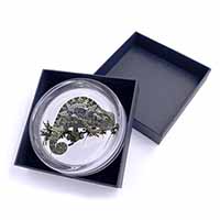 Chameleon Lizard Glass Paperweight in Gift Box