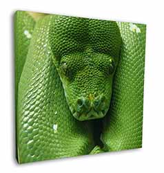 Green Tree Python Snake Square Canvas 12"x12" Wall Art Picture Print