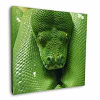 Green Tree Python Snake Square Canvas 12"x12" Wall Art Picture Print