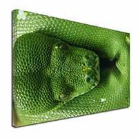 Green Tree Python Snake Canvas X-Large 30"x20" Wall Art Print