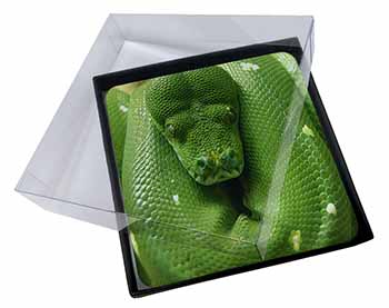 4x Green Tree Python Snake Picture Table Coasters Set in Gift Box