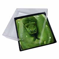 4x Green Tree Python Snake Picture Table Coasters Set in Gift Box