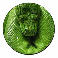 Green Tree Python Snake Fridge Magnet Printed Full Colour