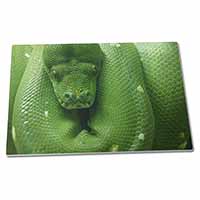 Large Glass Cutting Chopping Board Green Tree Python Snake
