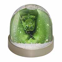 Green Tree Python Snake Snow Globe Photo Waterball