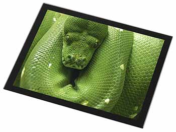 Green Tree Python Snake Black Rim High Quality Glass Placemat