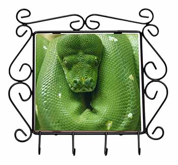 Green Tree Python Snake Wrought Iron Key Holder Hooks