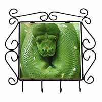 Green Tree Python Snake Wrought Iron Key Holder Hooks