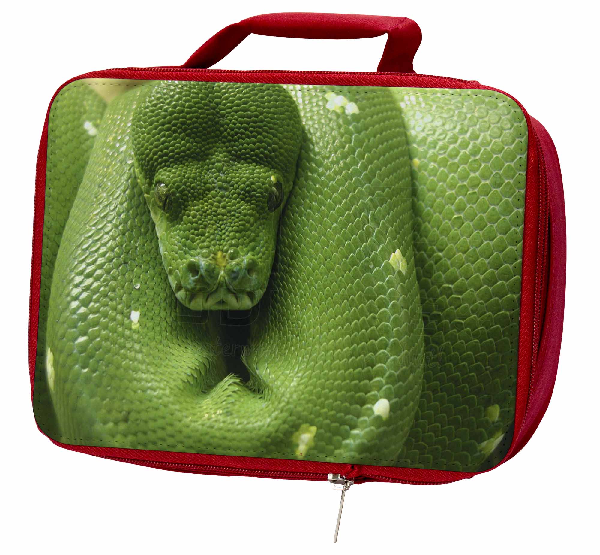 Green Tree Python Snake Insulated Red School Lunch Box/Picnic Bag, AR-S1LBR Green Tree Python Snake Insulated Red School Lunch Box/Picnic Box/Picnic Lunch Bag, AR-S1LBR 200ec1