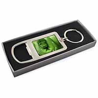 Green Tree Python Snake Chrome Metal Bottle Opener Keyring in Box