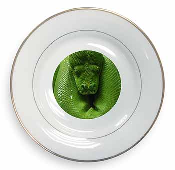 Green Tree Python Snake Gold Rim Plate Printed Full Colour in Gift Box