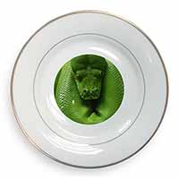 Green Tree Python Snake Gold Rim Plate Printed Full Colour in Gift Box