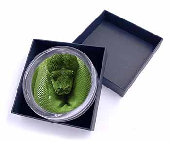 Green Tree Python Snake Glass Paperweight in Gift Box