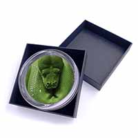 Green Tree Python Snake Glass Paperweight in Gift Box