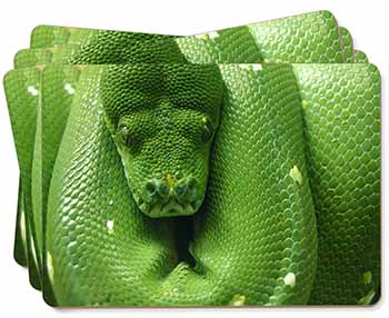 Green Tree Python Snake Picture Placemats in Gift Box
