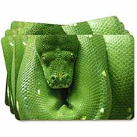Green Tree Python Snake Picture Placemats in Gift Box