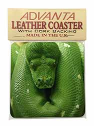 Green Tree Python Snake Single Leather Photo Coaster