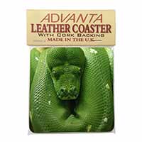 Green Tree Python Snake Single Leather Photo Coaster