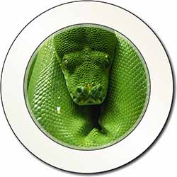 Green Tree Python Snake Car or Van Permit Holder/Tax Disc Holder