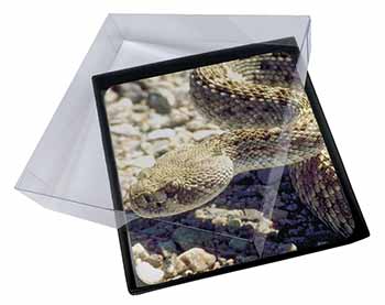 4x Rattle Snake Picture Table Coasters Set in Gift Box
