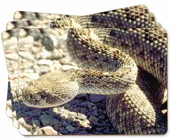 Rattle Snake Picture Placemats in Gift Box