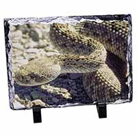 Rattle Snake, Stunning Animal Photo Slate