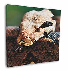 Boa Constrictor Snake Square Canvas 12"x12" Wall Art Picture Print