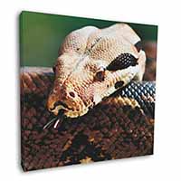 Boa Constrictor Snake Square Canvas 12"x12" Wall Art Picture Print