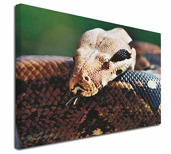 Boa Constrictor Snake Canvas X-Large 30"x20" Wall Art Print