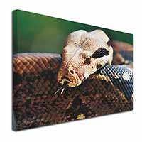 Boa Constrictor Snake Canvas X-Large 30"x20" Wall Art Print