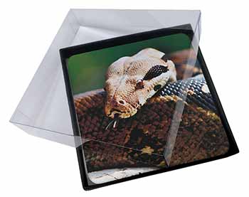 4x Boa Constrictor Snake Picture Table Coasters Set in Gift Box