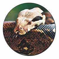 Boa Constrictor Snake Fridge Magnet Printed Full Colour