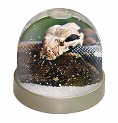 Boa Constrictor Snake Snow Globe Photo Waterball