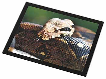 Boa Constrictor Snake Black Rim High Quality Glass Placemat