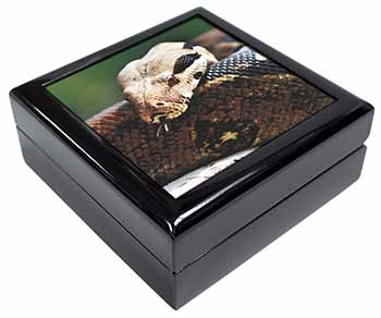 Boa Constrictor Snake Keepsake/Jewellery Box