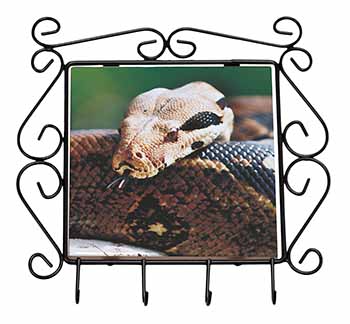 Boa Constrictor Snake Wrought Iron Key Holder Hooks