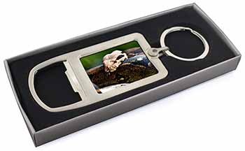 Boa Constrictor Snake Chrome Metal Bottle Opener Keyring in Box