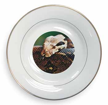 Boa Constrictor Snake Gold Rim Plate Printed Full Colour in Gift Box