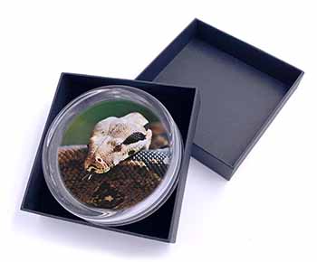 Boa Constrictor Snake Glass Paperweight in Gift Box