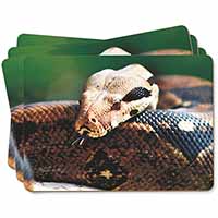 Boa Constrictor Snake Picture Placemats in Gift Box