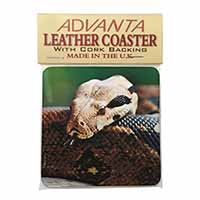 Boa Constrictor Snake Single Leather Photo Coaster