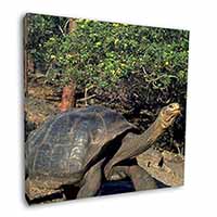 Giant Galapagos Tortoise Square Canvas 12"x12" Wall Art Picture Print