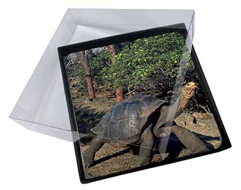 4x Giant Galapagos Tortoise Picture Table Coasters Set in Gift Box