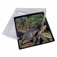 4x Giant Galapagos Tortoise Picture Table Coasters Set in Gift Box