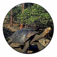 Giant Galapagos Tortoise Fridge Magnet Printed Full Colour