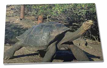 Large Glass Cutting Chopping Board Giant Galapagos Tortoise
