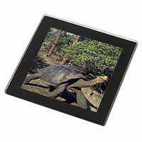 Giant Galapagos Tortoise Black Rim High Quality Glass Coaster