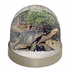 Giant Galapagos Tortoise Snow Globe Photo Waterball